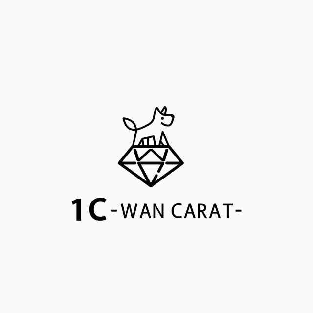 1C-WAN CARAT-千葉中央店